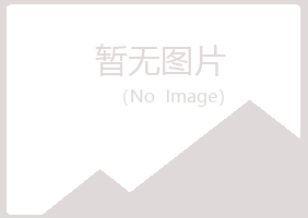 西峰白山工程有限公司